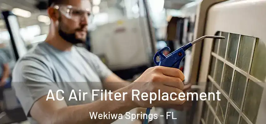  AC Air Filter Replacement Wekiwa Springs - FL