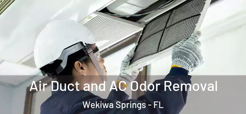  Air Duct and AC Odor Removal Wekiwa Springs - FL