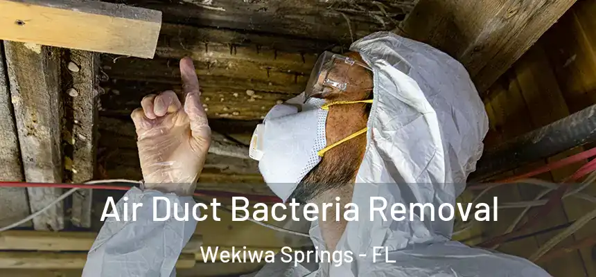 Air Duct Bacteria Removal Wekiwa Springs - FL