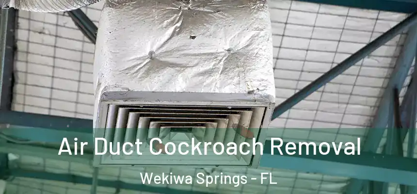 Air Duct Cockroach Removal Wekiwa Springs - FL
