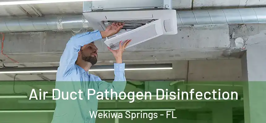  Air Duct Pathogen Disinfection Wekiwa Springs - FL