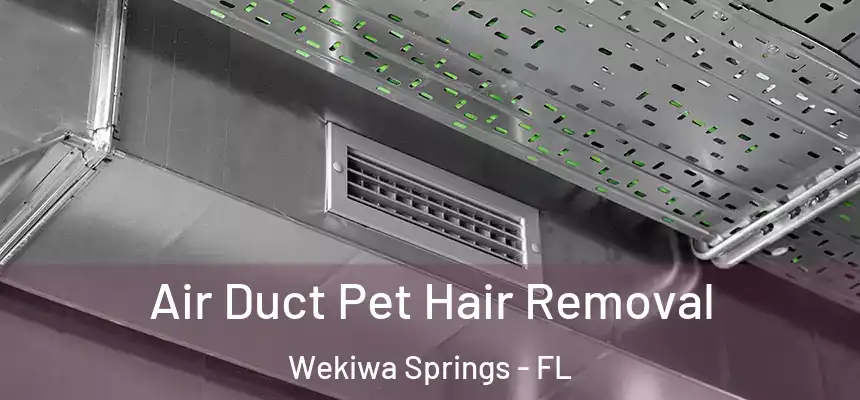  Air Duct Pet Hair Removal Wekiwa Springs - FL