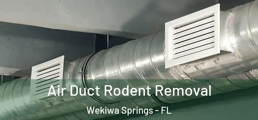  Air Duct Rodent Removal Wekiwa Springs - FL