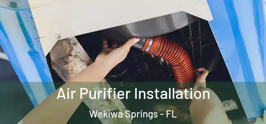 Air Purifier Installation Wekiwa Springs - FL