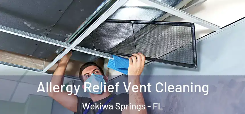  Allergy Relief Vent Cleaning Wekiwa Springs - FL