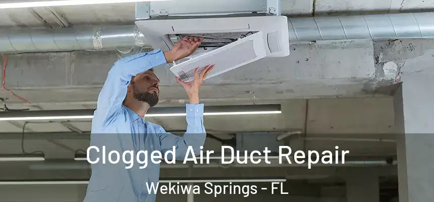 Clogged Air Duct Repair Wekiwa Springs - FL