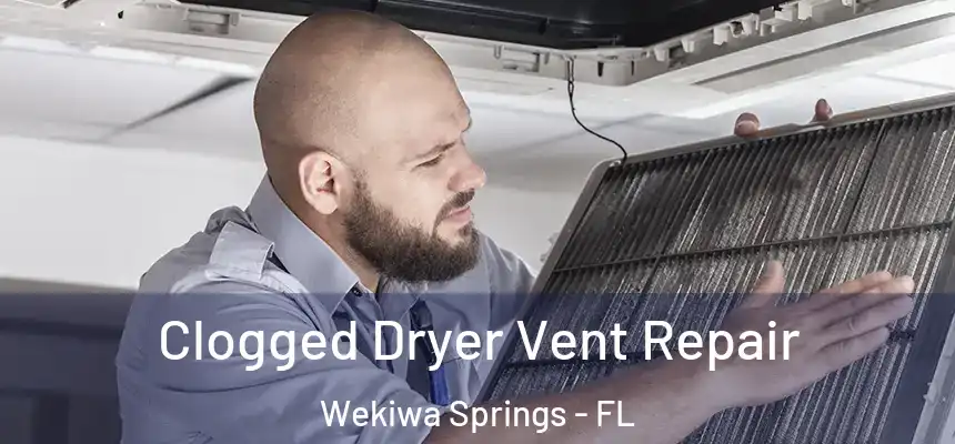  Clogged Dryer Vent Repair Wekiwa Springs - FL