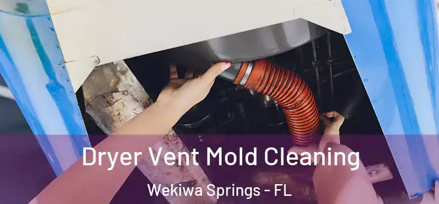  Dryer Vent Mold Cleaning Wekiwa Springs - FL