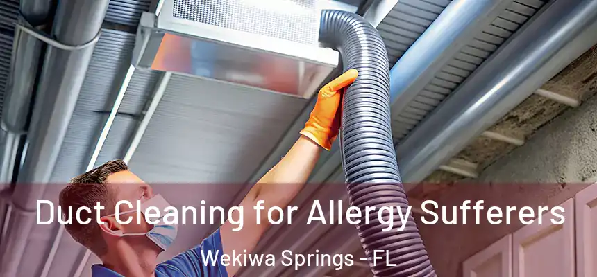 Duct Cleaning for Allergy Sufferers Wekiwa Springs - FL