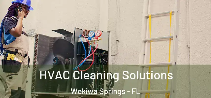  HVAC Cleaning Solutions Wekiwa Springs - FL