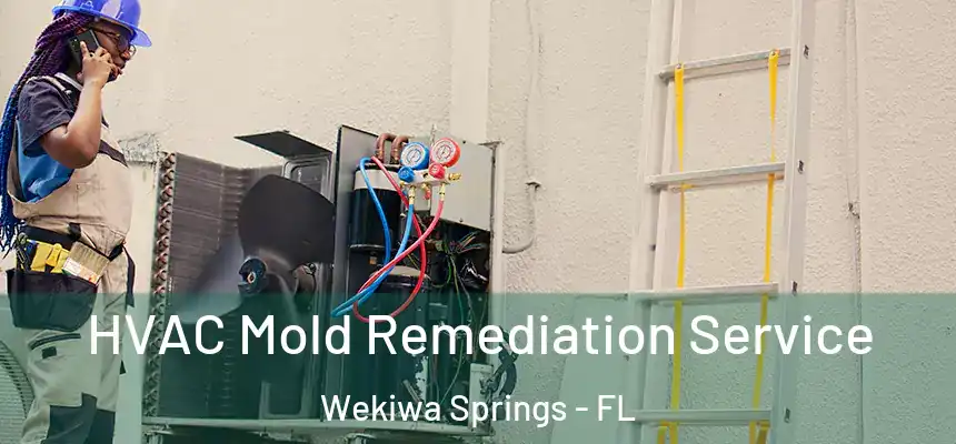  HVAC Mold Remediation Service Wekiwa Springs - FL