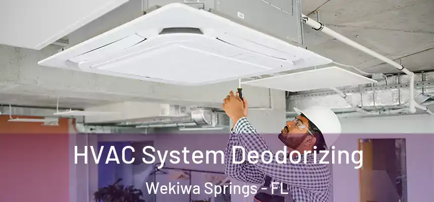  HVAC System Deodorizing Wekiwa Springs - FL