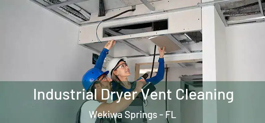  Industrial Dryer Vent Cleaning Wekiwa Springs - FL