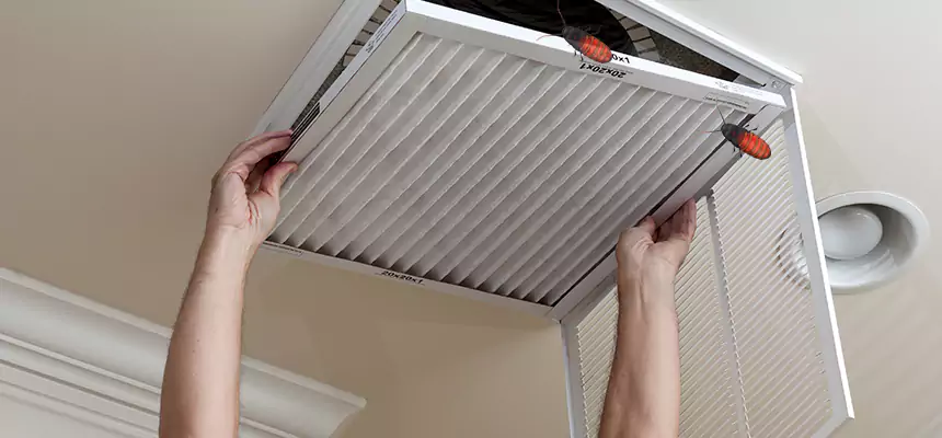 Our Insect Removal from Air Ducts Services in Wekiwa Springs, FL