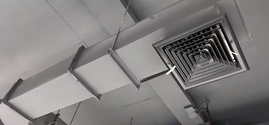 Our Pest Removal From Ducts Services in Wekiwa Springs, FL