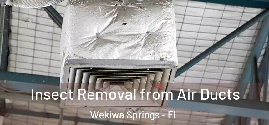  Insect Removal from Air Ducts Wekiwa Springs - FL
