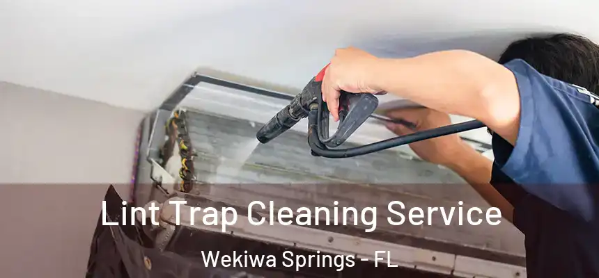  Lint Trap Cleaning Service Wekiwa Springs - FL