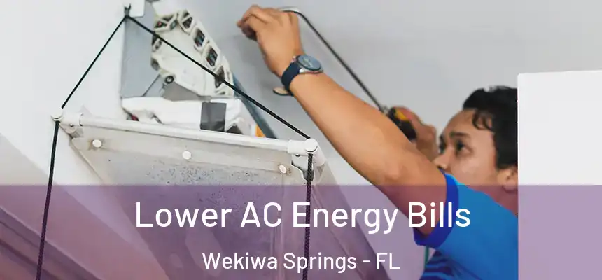  Lower AC Energy Bills Wekiwa Springs - FL