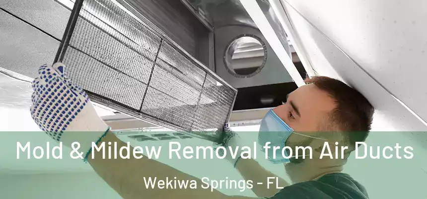 Mold & Mildew Removal from Air Ducts Wekiwa Springs - FL
