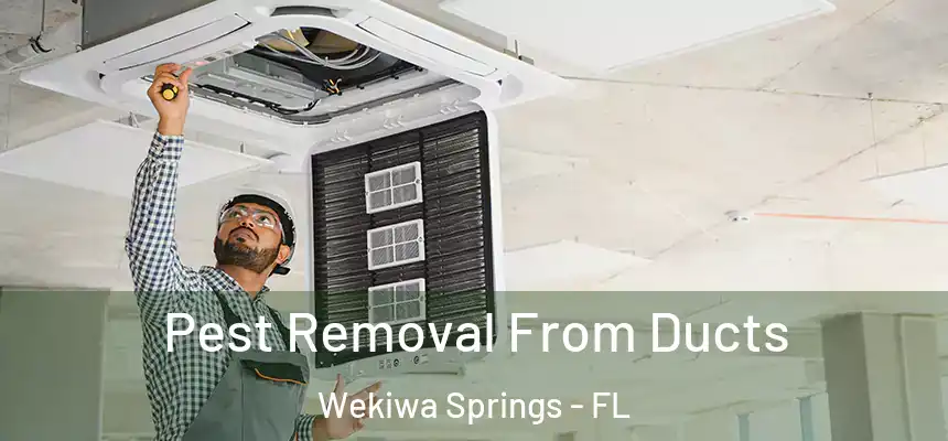 Pest Removal From Ducts Wekiwa Springs - FL