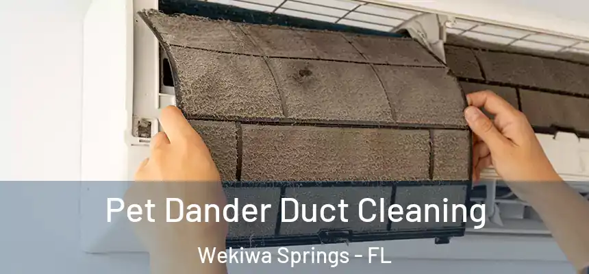 Pet Dander Duct Cleaning Wekiwa Springs - FL