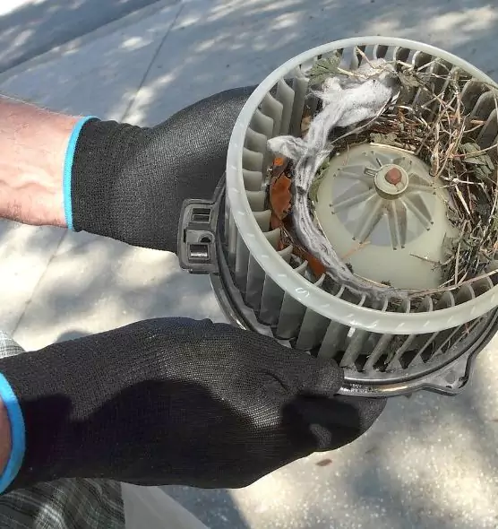 About Air Duct Rat Removal in Wekiwa Springs, FL