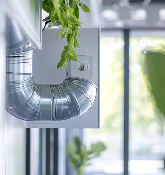 Professional Eco-Friendly Duct Cleaning Services in Wekiwa Springs, FL