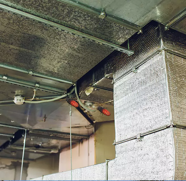 Why Homeowners & Businesses Trust Us in Wekiwa Springs, FL?