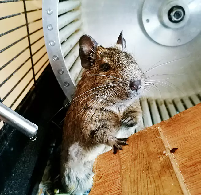 Why Homeowners & Businesses Trust Us Wekiwa Springs, FL