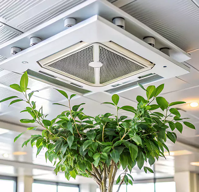 Why Homeowners & Businesses Trust Us in Wekiwa Springs, FL?