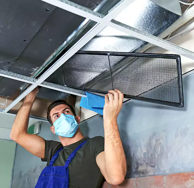 Why Homeowners Businesses Trust Us in Wekiwa Springs, FL