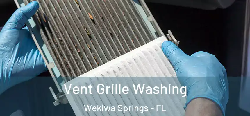 Vent Grille Washing Wekiwa Springs - FL