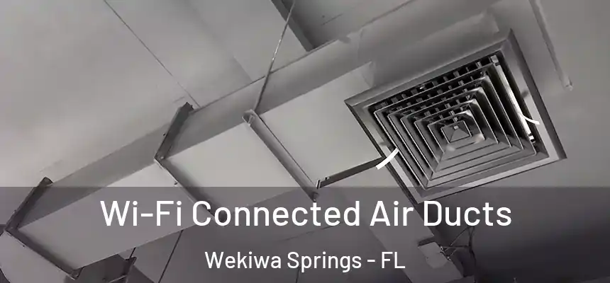 Wi-Fi Connected Air Ducts Wekiwa Springs - FL